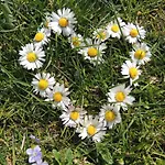 Schoebringer לינה וארוחת בוקר וויירג