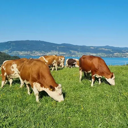 Schoebringer 3* Weyregg