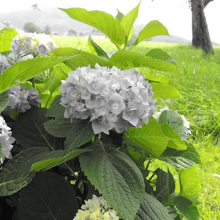 Schoebringer Bed & Breakfast