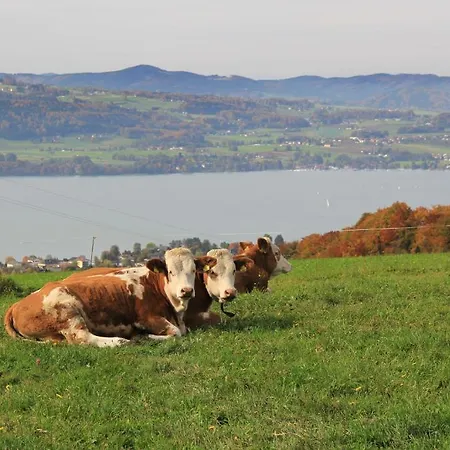 Bed & Breakfast Schoebringer 3*