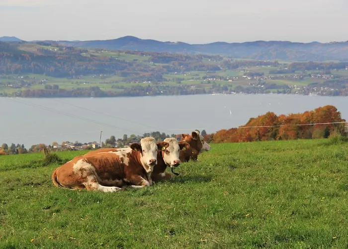 فندق مبيت وإفطار Schoebringer 3*