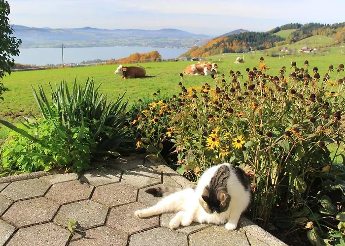 Schoebringer فندق مبيت وإفطار 3*