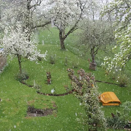 Schoebringer Oda ve Kahvaltı