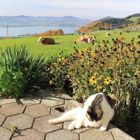 Schoebringer Oda ve Kahvaltı 3*