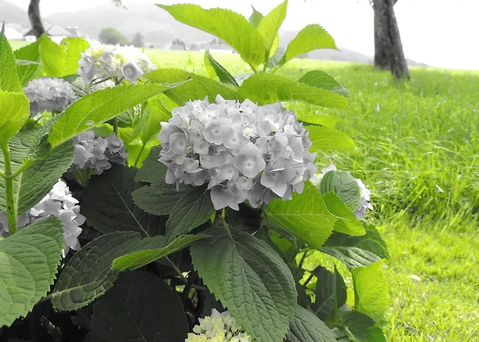 Schoebringer فندق مبيت وإفطار