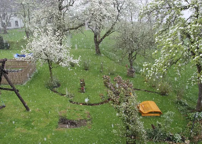 Schoebringer Oda ve Kahvaltı