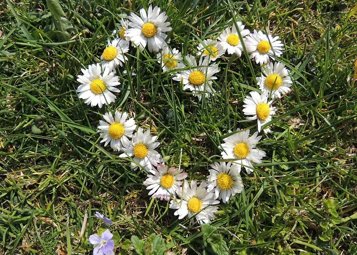 Schöbringer Frühstückspension Weyregg